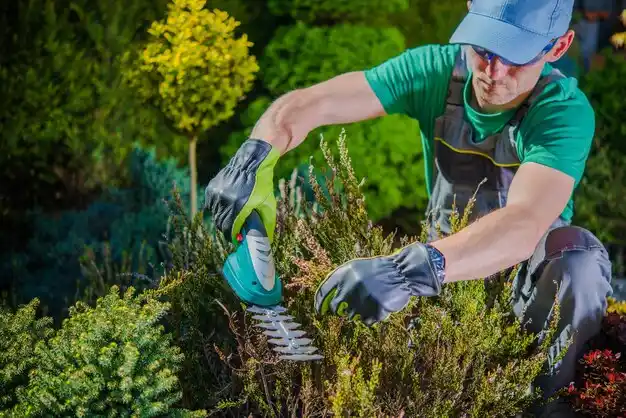 landscaping services White Pine